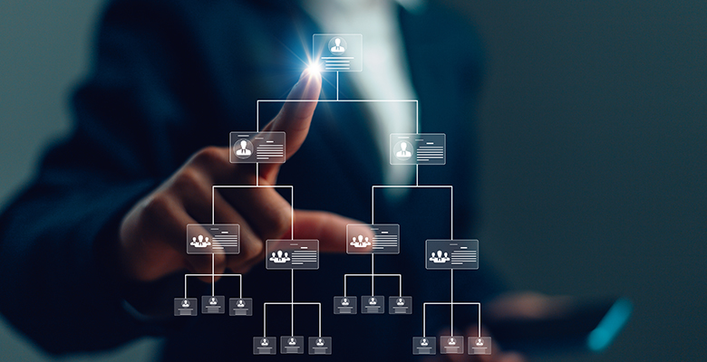 Organization chart on the virtual interface screen. Business pro